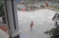 Giây phút nhanh trí của bé trai 3 tuổi tìm cách cứu bạn khỏi đuối nước 
