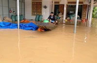 Chùm ảnh: Mưa lũ lớn đầu Hè, thiệt hại nặng ở Hà Tĩnh