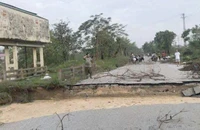 Nghệ An: Nước sông Vinh dâng cao gây nứt gãy đường Vĩnh Giang