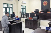 Bắt trộm 21 con gà về nuôi thả ăn dần, lĩnh án tù giam