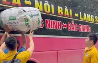 Quản lý thị trường giải thích việc tạm giữ 9 bao xác ve sầu sau clip trên mạng