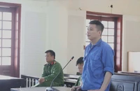 Nhận 9,3 kg ma tuý ngụy trang trong hộp sữa từ châu Âu, lãnh án chung thân