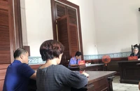 Tạm ngừng xét xử vụ dân kiện Văn phòng Đăng ký đất đai TP.HCM để thu thập chứng cứ