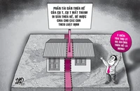 VKSND Tối cao rút kinh nghiệm một vụ án chia thừa kế