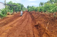 Rút kinh nghiệm cách giải quyết một vụ tranh chấp đất cấp giám đốc thẩm hủy án