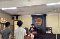 Trả hồ sơ lần 4 vụ làm giả văn bằng, chứng chỉ ở quận 12, TP.HCM