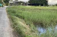Rút kinh nghiệm một vụ án lừa đảo hơn 5 tỉ đồng