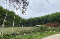 Rút kinh nghiệm vụ án ủy ban bồi thường khi thu hồi đất không đúng quy định 