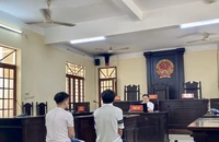 Vụ làm giả văn bằng, chứng chỉ ở quận 12, TP.HCM: Bác đề nghị đổi kiểm sát viên của bị cáo