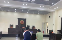 Tạm ngừng phiên tòa vụ bênh mẹ nên đánh người ở Long An