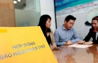 Giả làm đại lý bảo hiểm để thu phí, chiếm đoạt tiền của khách