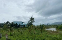 Đề xuất án lệ về bồi thường, hỗ trợ đối với nhà mua thanh lý trên đất của cơ quan nhà nước