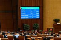 Cần xây dựng tòa án chuyên biệt theo mô hình 'mở có kiểm soát'