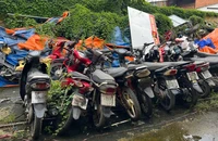 Án lệ về định tội danh đối với hành vi chiếm đoạt tài sản của mình đang bị công an tạm giữ