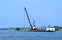 Đồng Tháp phối hợp với các tỉnh triệt khai thác cát lậu