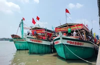Cà Mau ra văn bản chỉ đạo nhiệm vụ trọng tâm chống khai thác IUU 