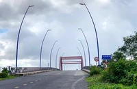 Cầu Mạc Đĩnh Chi có tổng chiều dài gần 3km. Ảnh: CHÂU ANH