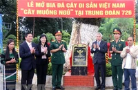 Lễ mở bia đá “Cây di sản Việt Nam” tại Trung đoàn 726. Ảnh: TTXVN