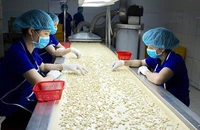 Tối đa hóa nguồn nguyên liệu nội địa, giảm dần sự phụ thuộc vào nhập khẩu sẽ giúp doanh nghiệp giảm rủi ro tỉ giá. Ảnh: QH
