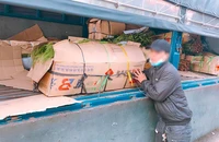Anh NCT đang ở nơi làm việc của mình. Ảnh: HUỲNH THƠ