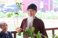 Dược sĩ Đào Kim Long, người đầu tiên phát hiện và công bố sâm Ngọc Linh. Ảnh: LÊ KIẾN