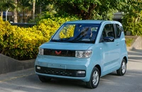 Nhiều mẫu ô tô điện Trung Quốc đang được chào bán rầm rộ. Ảnh: TL