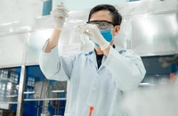 Sinh viên Trường ĐH Bách khoa (ĐH Quốc gia TP.HCM) trong giờ thực hành. Ảnh: THY HUYỀN