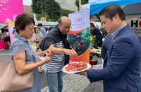 Giới thiệu vải thiều Việt Nam đến với người dân Nhật Bản. Ảnh: Thương vụ Việt Nam tại Nhật Bản