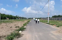 Người có nhu cầu đầu tư đất nền trong thời điểm này đã thưa thớt hẳn. Ảnh: MINH LONG