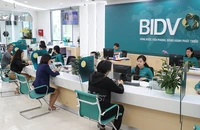 Các doanh nghiệp kiến nghị các ngân hàng có cơ chế cho vay tín chấp để giúp doanh nghiệp vượt khó. Ảnh: T.LINH