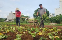 Cặp vợ chồng “vầng trăng khuyết” thu nhập tiền tỉ mỗi năm