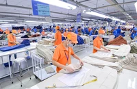 Theo chuyên gia, ngành chức năng cần có nghiên cứu, khảo sát thực tế để định hướng lại thị trường cho doanh nghiệp. Ảnh: P.MINH