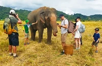 Voi Khăm Sen trong mô hình du lịch thân thiện. Ảnh: YV