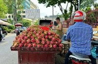 Xe tự chế bán trái cây tại đường Vũ Tùng, phường 1, quận Bình Thạnh, TP.HCM. Ảnh: THẢO HIỀN