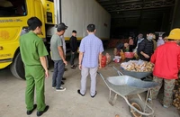 Công an tỉnh Lâm Đồng phối hợp với công an huyện Đức Trọng và Đơn Dương kiểm tra các vựa nông sản. Ảnh: M.HẬU - T.SANG