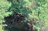 Hiện trường