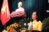 HĐND TP.HCM sẽ tập trung giám sát đầu tư công, dự án nhà ở xã hội...