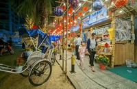 Người dân du xuân, ngắm Tết xưa giữa lòng TP.HCM