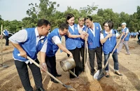 500 đại biểu trồng 500 cây cẩm lai vì một TP.HCM muôn sắc hoa