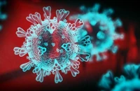 Một biến thể của virus SARS-COV-2. ẢNH: NEWS SKY