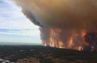 Ảnh chụp đám cháy từ trên cao. Ảnh: GLOBAL NEWS