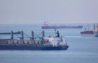 Những tàu chở ngũ cốc qua Biển Đen đang đợi kiểm tra tại cảng TP Istanbul (Thổ Nhĩ Kỳ) Ảnh: REUTERS