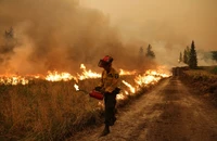 Lính cứu hỏa ra sức dập lửa tại Alberta, Canada. Ảnh: REUTERS