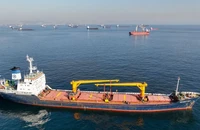 Tàu chở ngũ cốc Ukraine tại eo biển Bosphorus (Istanbul, Thổ Nhĩ Kỳ). Ảnh: REUTERS