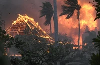 VIDEO: Đã 53 người chết trong vụ cháy rừng như 'tận thế' ở Hawaii 