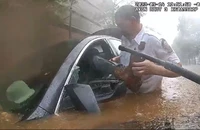 VIDEO: Đập vỡ cửa ô tô cứu người giữa dòng nước lũ