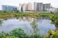 Hồi sinh hàng chục hồ nước bằng phương pháp cổ 15 thế kỷ