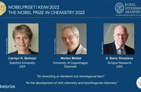 Nobel Hóa học 2023: Sẽ gọi tên hóa sinh, hay hóa phân tích, hóa hữu cơ?