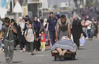 Từng dòng, từng dòng người đi bộ từ bắc về nam Gaza