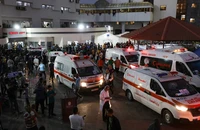 Vì sao bệnh viện Al-Shifa trở thành 'tâm chấn' trong xung đột Israel-Hamas?